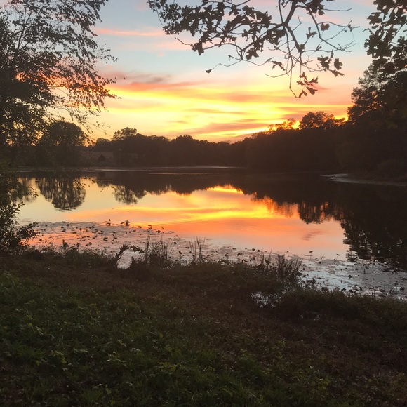 Meet your Posher, Alicia - Picture 2 of 2